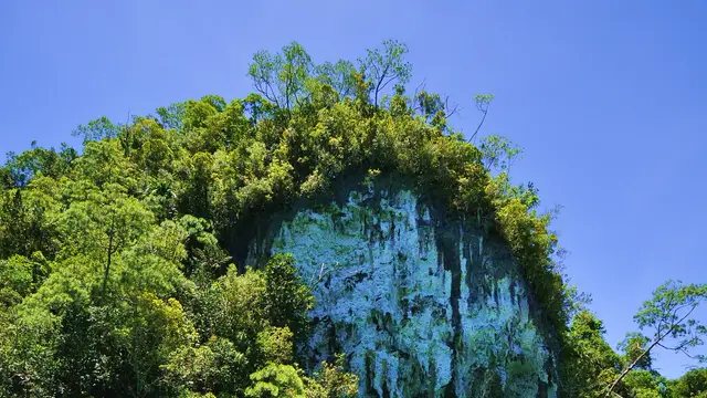 Emerald water and a jungle-draped limestone cliff at Sohoton Cove, Bucas Grande, Socorro, Surigao del Norte.