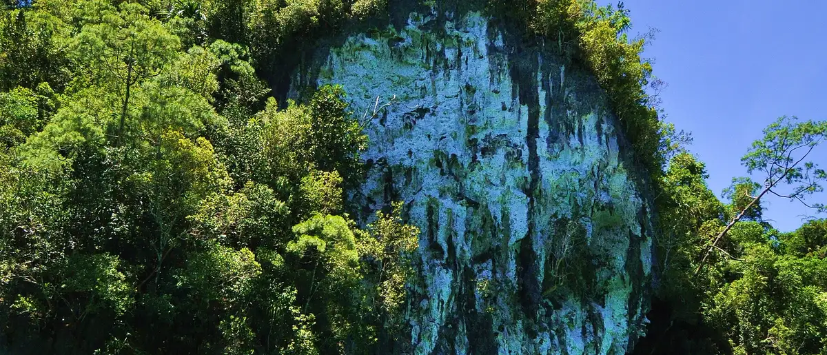 Emerald water and a jungle-draped limestone cliff at Sohoton Cove, Bucas Grande, Socorro, Surigao del Norte.